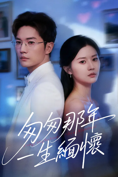 《匆匆那年，一生緬懷》海報
