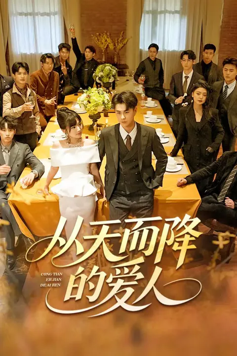 《从天而降的爱人》海报