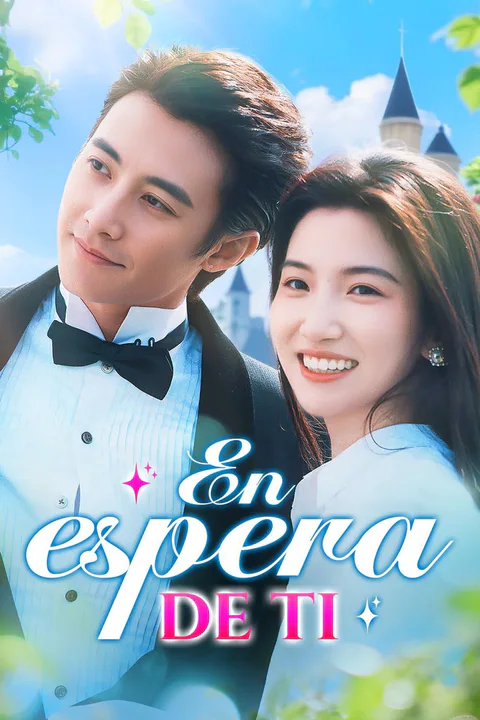 Contract To Love poster