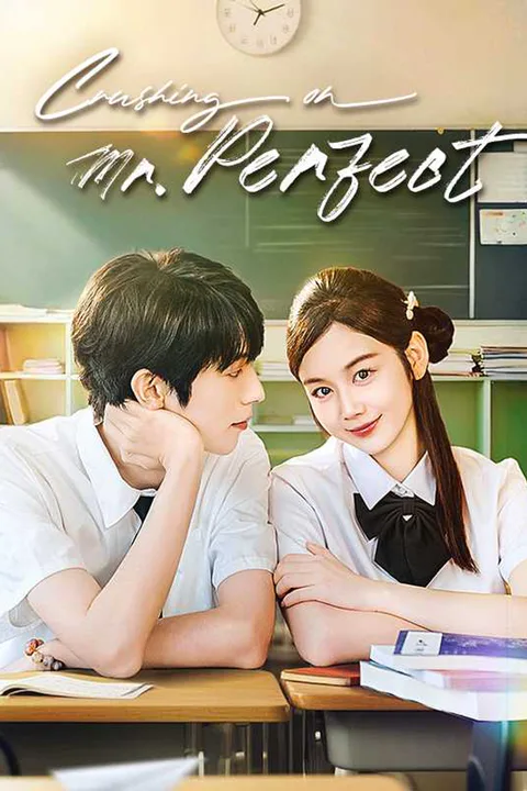 Crushing on Mr. Perfect poster