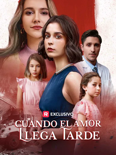 Póster de Cuando el Amor Llega Tarde