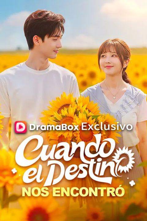 Póster de Cuando el destino nos encontró