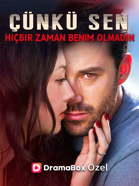 Çünkü Sen Hiçbir Zaman Benim Olmadın afişi