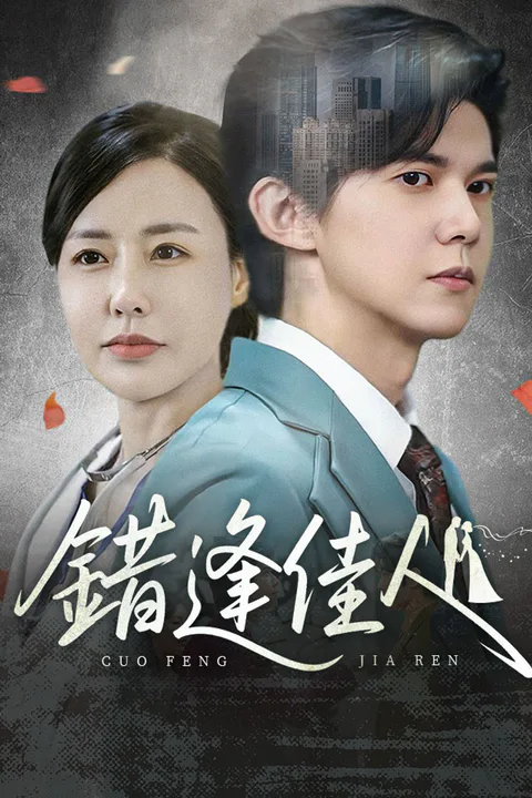 《錯逢佳人》海報