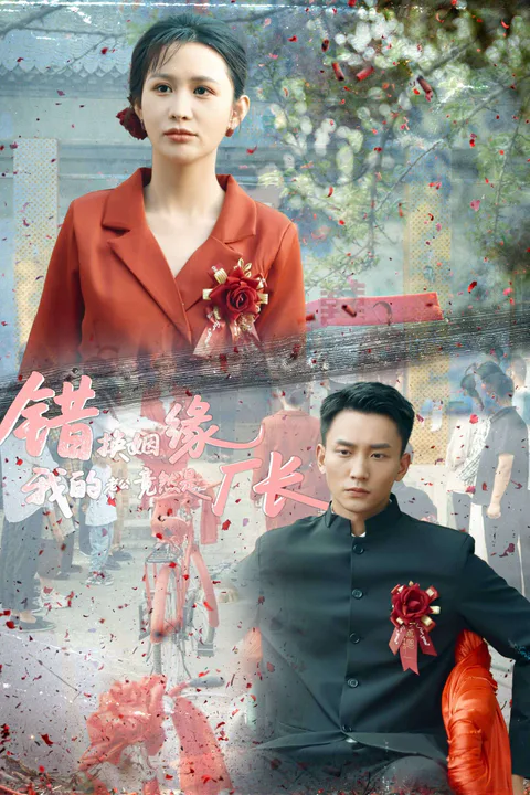 《错换姻缘，我的老公竟然是厂长》海报