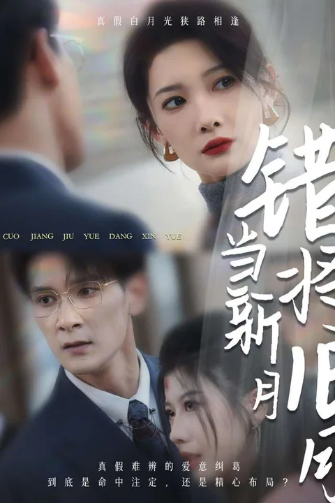 《错将旧月当新月》海报