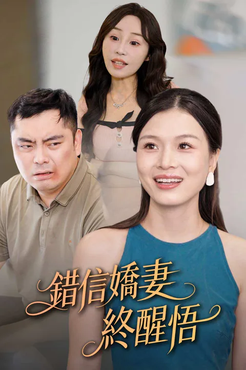 《錯信嬌妻終醒悟》海報