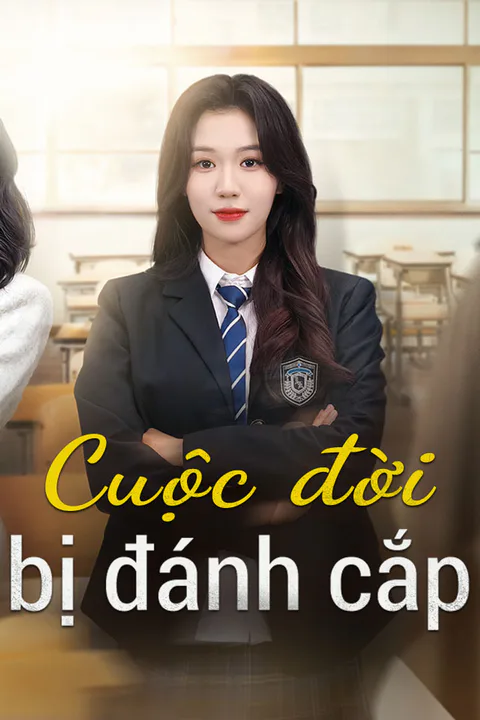 Poster Cuộc đời bị đánh cắp