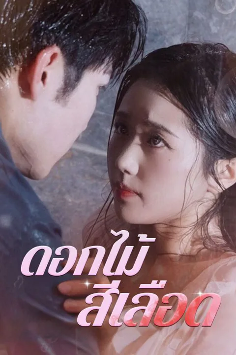 โปสเตอร์ ดอกไม้สีเลือด