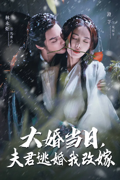 《大婚當日，夫人逃婚我改嫁》海報