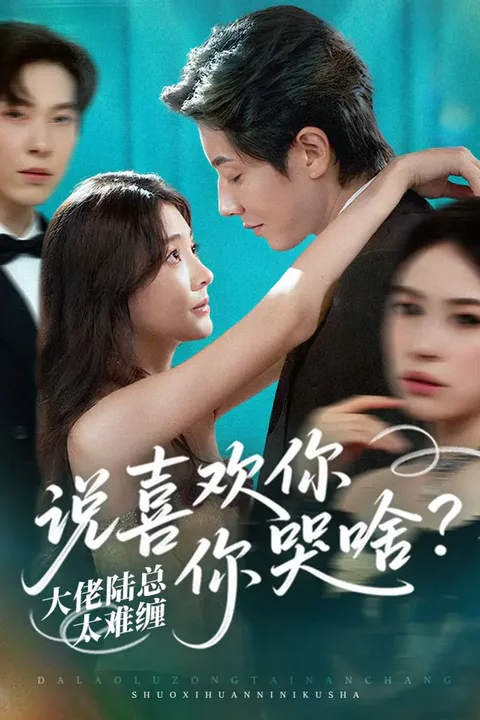 《大佬陆总太难缠，说喜欢你你哭啥？》海报