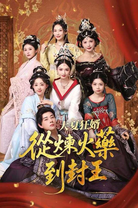 《大夏狂婿：從煉火藥到封王》海報