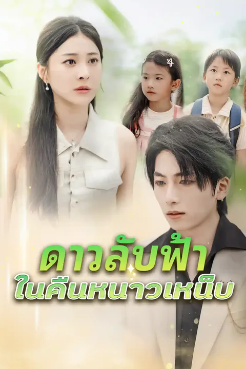 โปสเตอร์ ดาวลับฟ้าในคืนหนาวเหน็บ