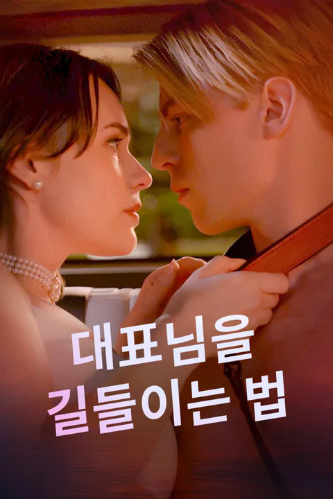 대표님을 길들이는 법 포스터