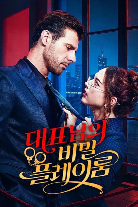 대표님의 비밀 플레이룸 포스터
