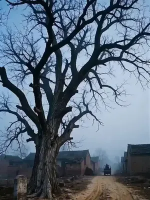Dağlara dönen başarılı kız afişi
