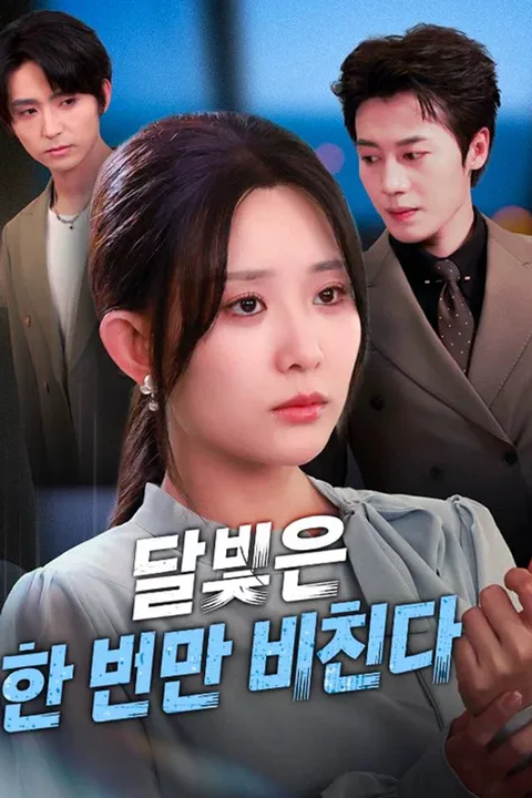 달빛은 한 번만 비친다 포스터