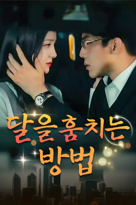 달을 훔치는 방법 포스터