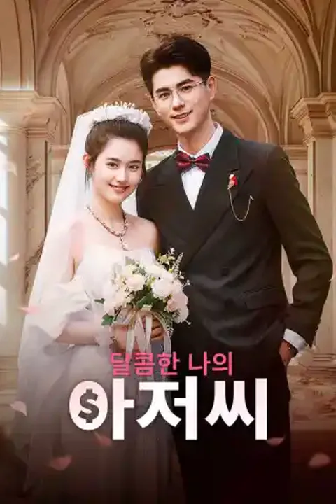 달콤한 나의 아저씨 포스터