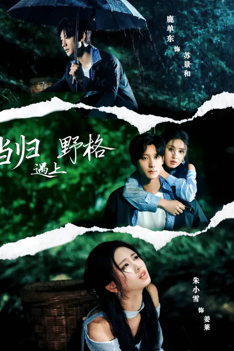 《當歸遇上野格》海報