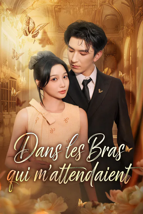 Affiche de Dans les Bras qui m'Attendaient