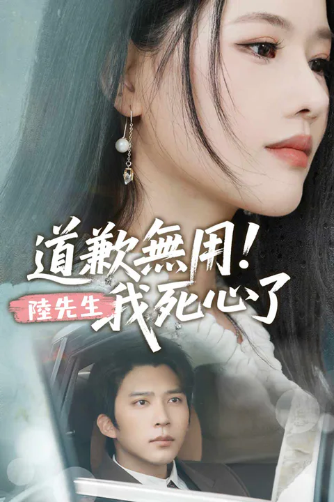 《道歉無用！陸先生，我死心了》海報