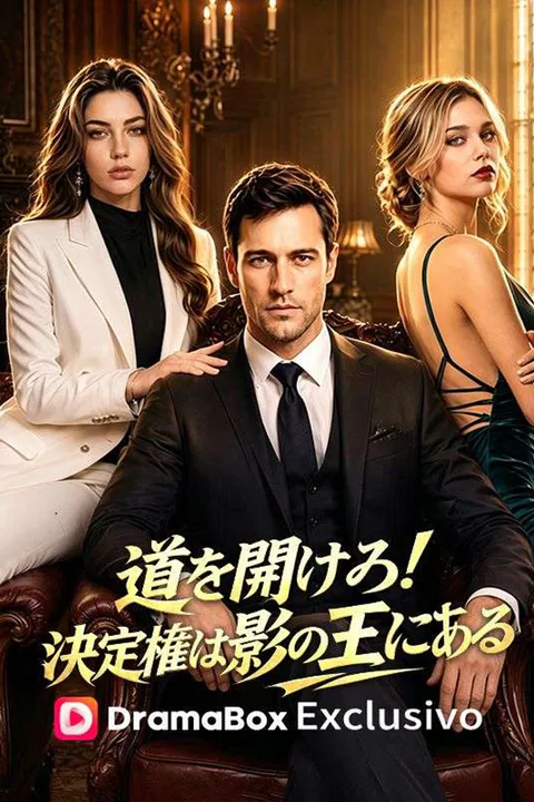 道を開けろ！決定権は影の王にある（吹き替え）のポスター