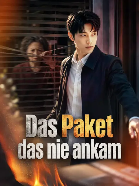 Poster von Das Paket, das nie ankam