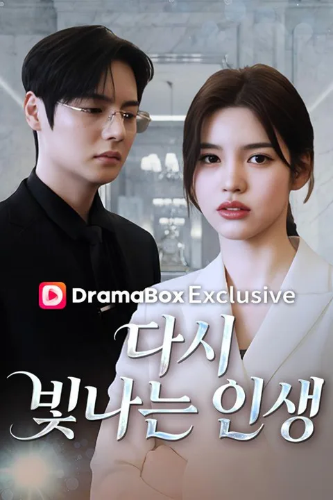 다시 빛나는 인생 포스터
