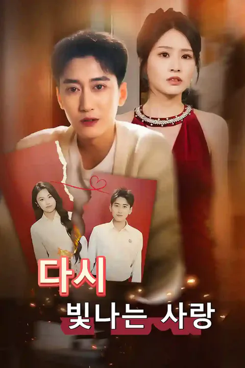 다시 빛나는 사랑 포스터