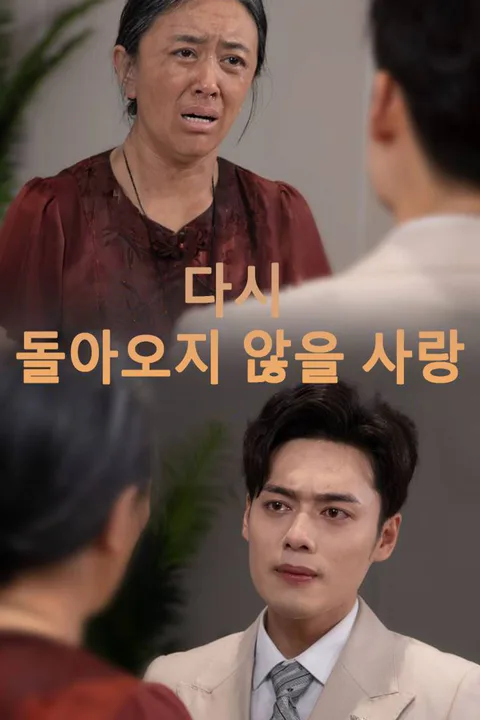 다시 돌아오지 않을 사랑 포스터