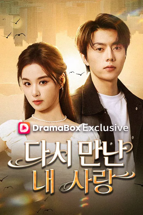 다시 만난 내 사랑 포스터