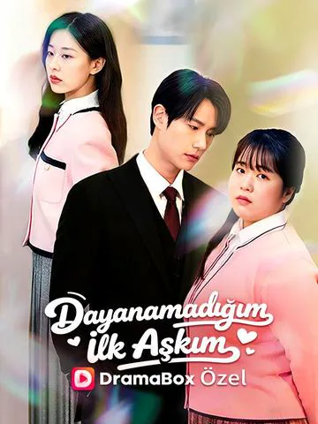 Dayanamadığım İlk Aşkım afişi