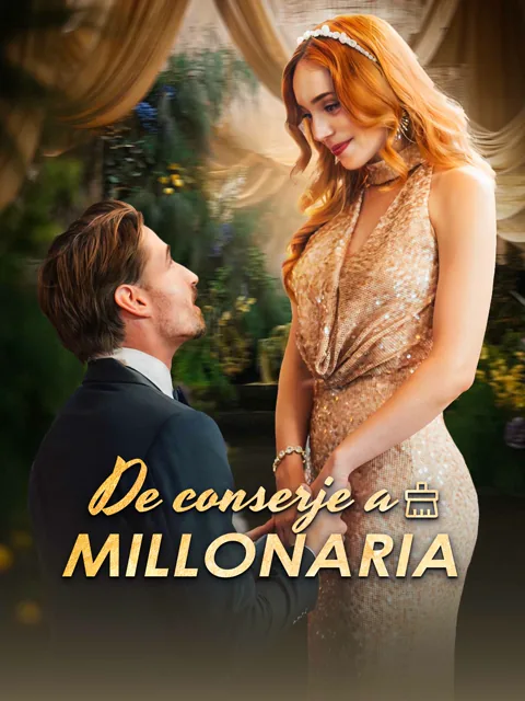 Póster de De conserje a millonaria