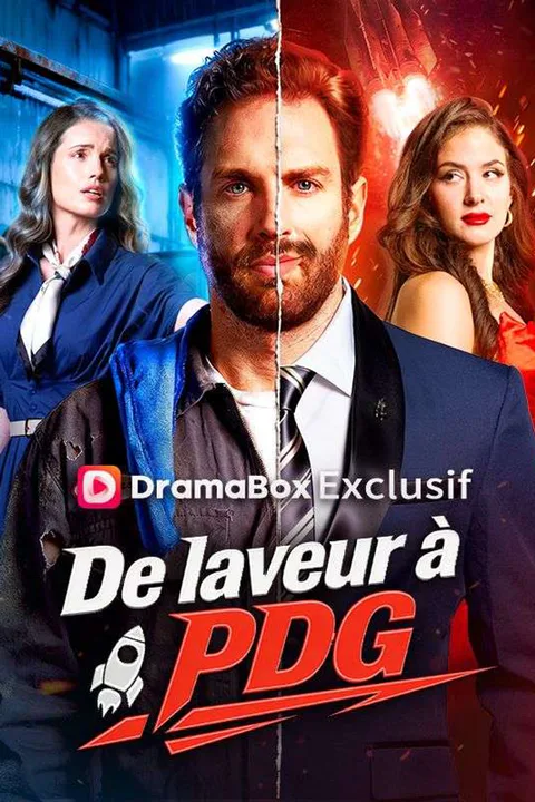 Affiche de De laveur à PDG (Doublé)