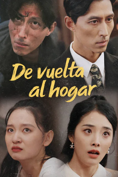 Póster de De vuelta al hogar