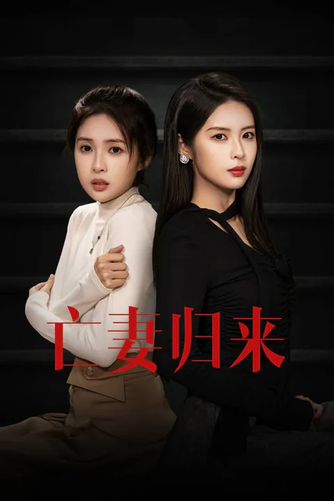 Dead Wife's Return poster