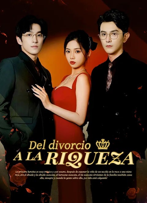 Póster de Del divorcio a la riqueza