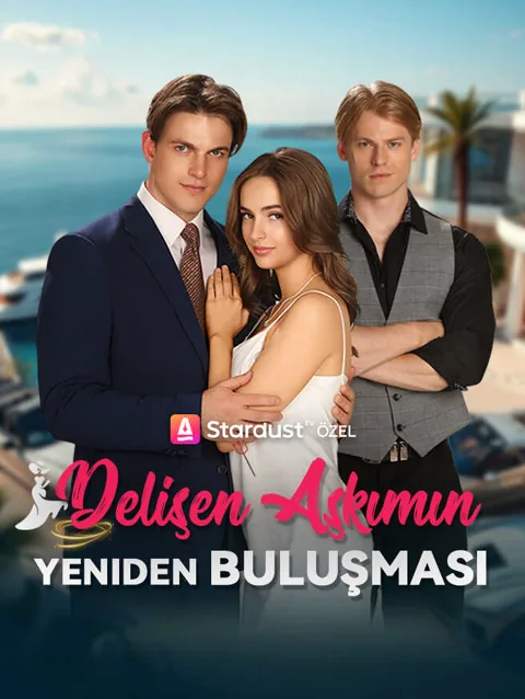 delişen aşkımın Yeniden buluşması afişi