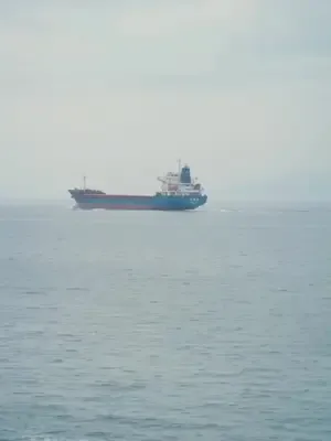 Denizci kardeşlerin intikamı afişi