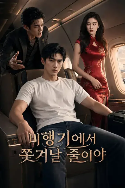 비행기에서 쫓겨날 줄이야 포스터