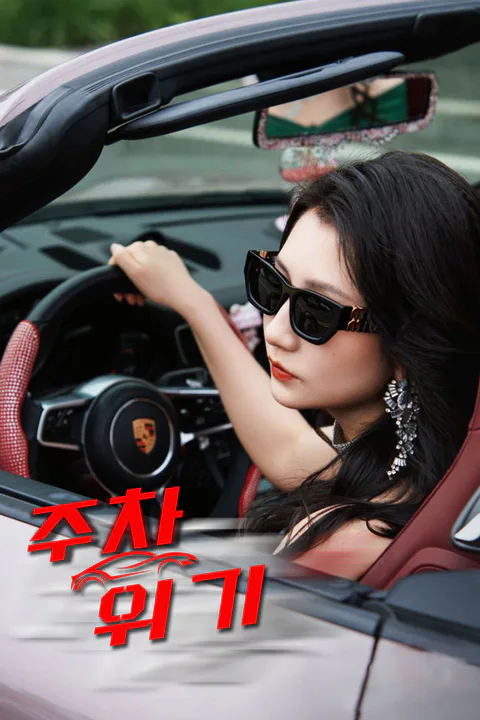 주차 위기 (더빙) 포스터