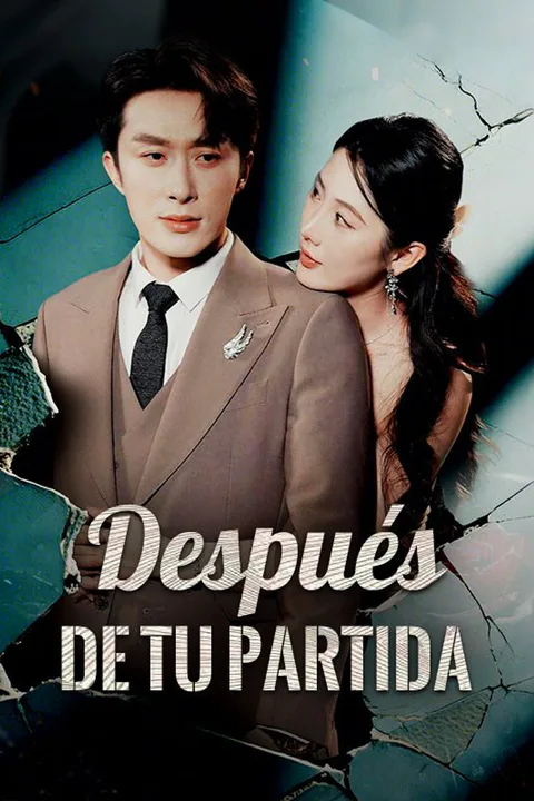 Póster de Después de tu partida