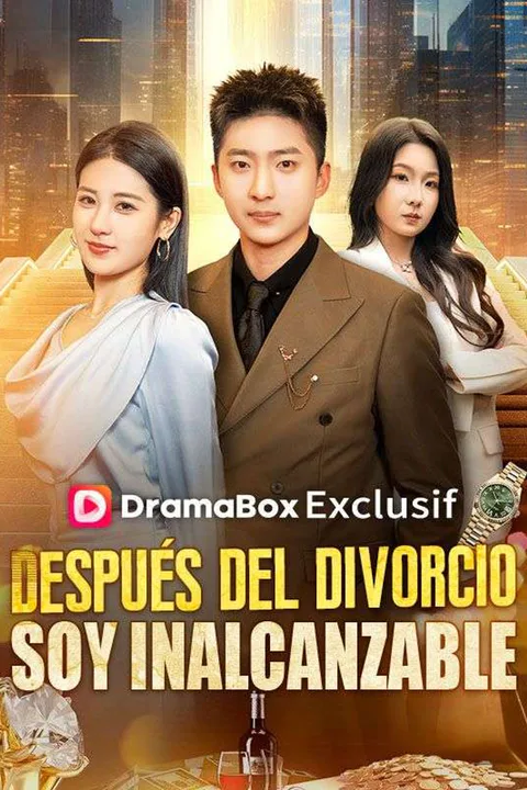 Póster de Después del divorcio, soy inalcanzable