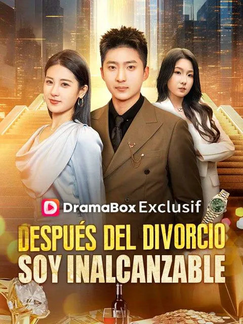 Póster de Después del divorcio, soy inalcanzable (Doblado)