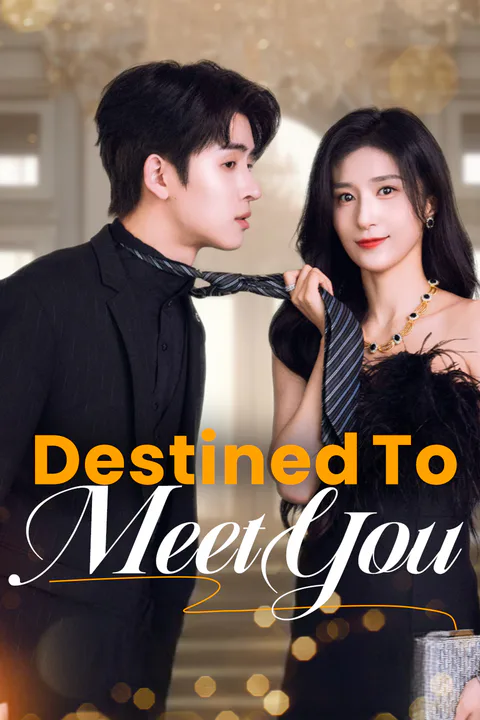 Destined to Meet You(Dubbed) poster