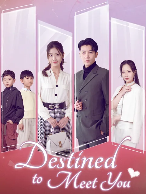 Destined to Meet You poster