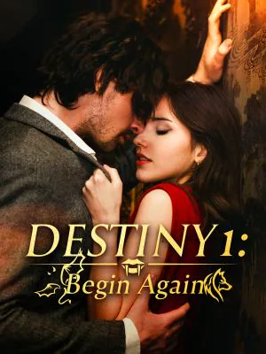 Destiny 1: Begin Again poster