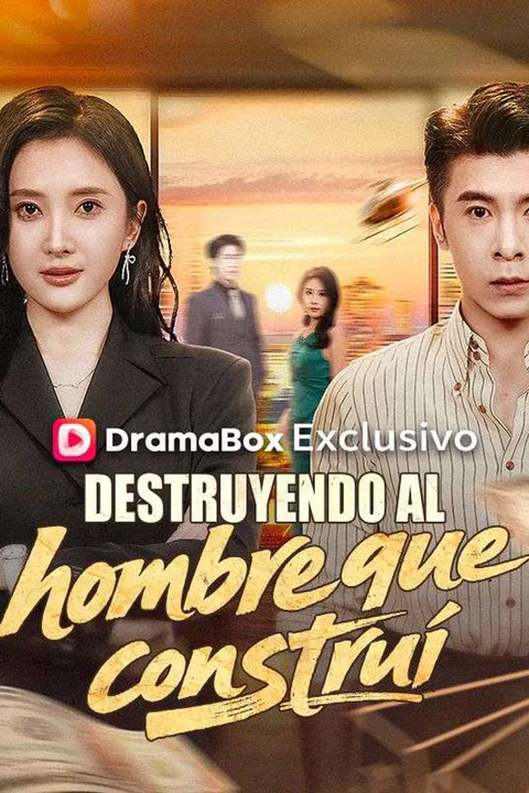 Póster de Destruyendo al hombre que construí