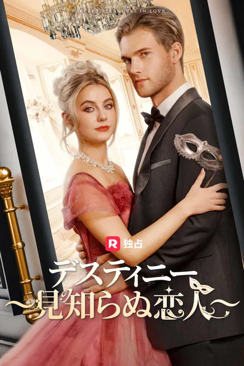 デスティニー 〜見知らぬ恋人〜のポスター